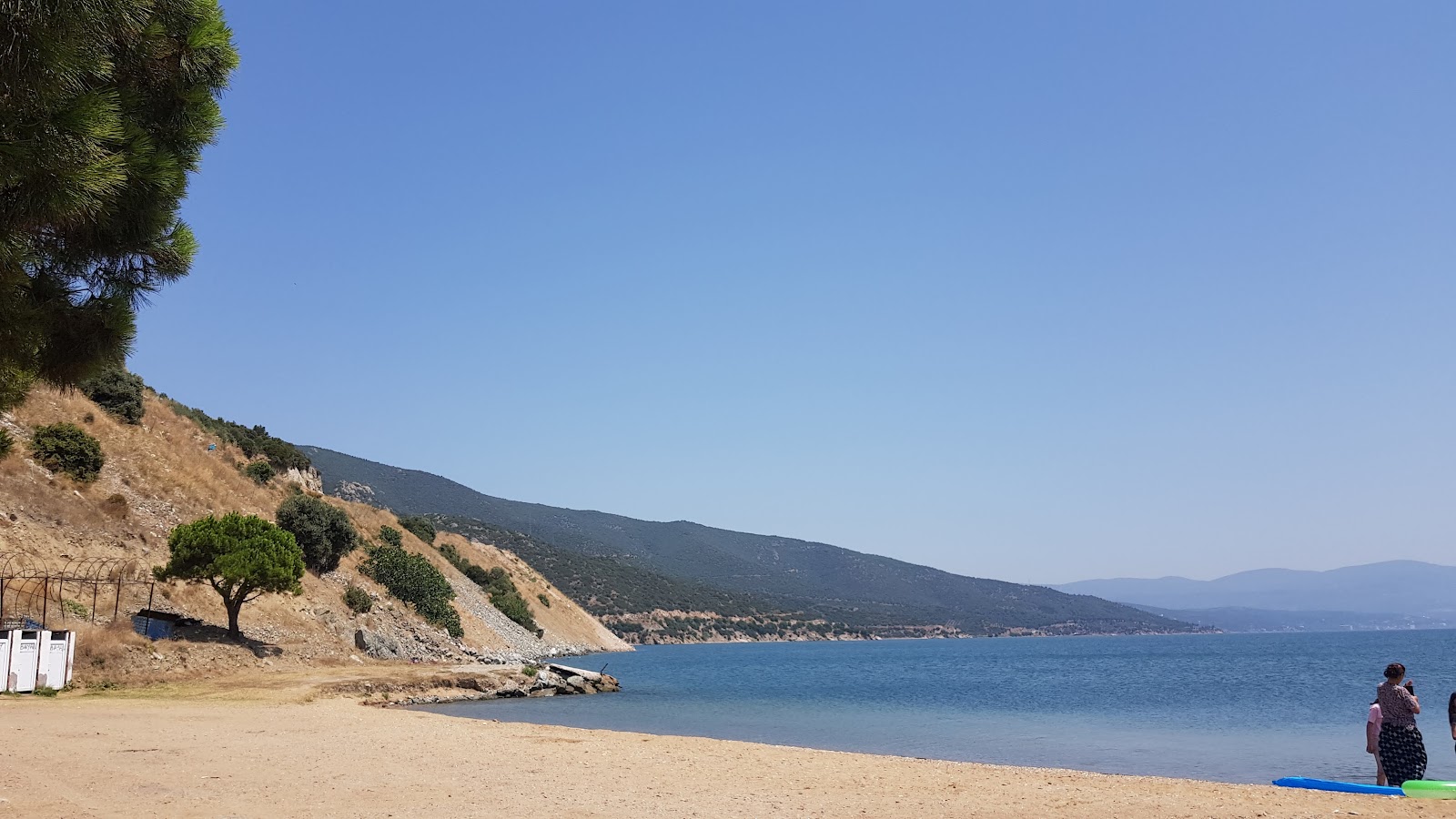 Çamlık Plaj'in fotoğrafı vahşi alan