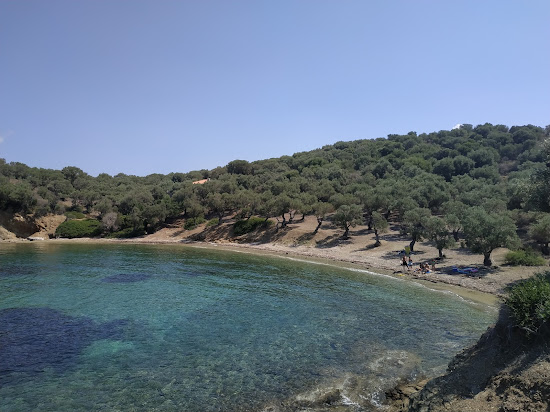 Green beach