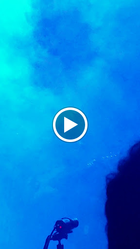 Performing Arts Theater «Paramount Theatre», reviews and photos, 911 Pine St, Seattle, WA 98101, USA