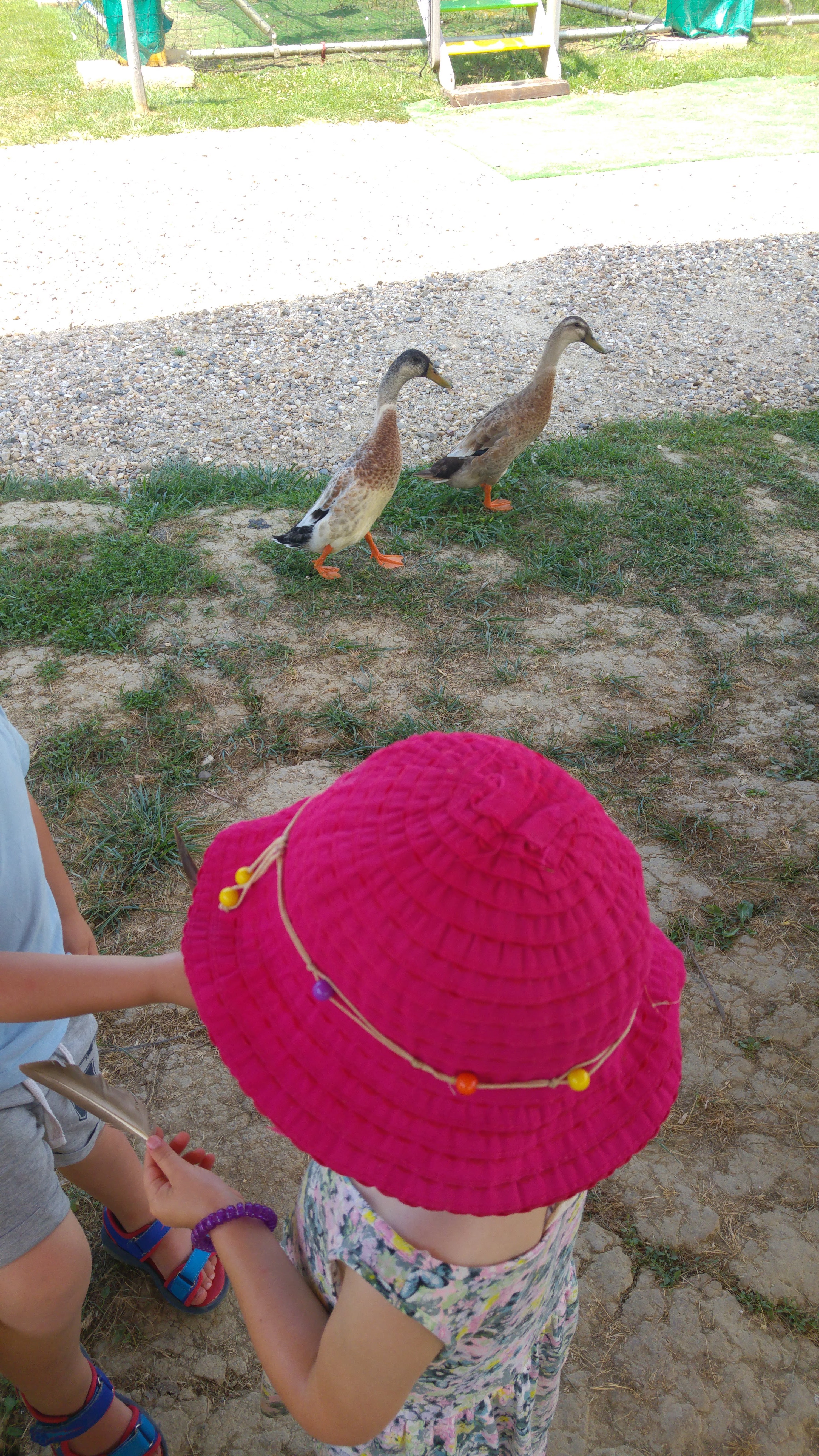 Photo n° 2 de l'avis de Sandra.i fait le 08/07/2019 à 18:31