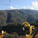 Photo n°1 de l'avis de Haidée. fait le 08/12/2017 à 17:26 sur le  Hotel 660 à Acri