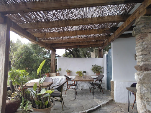 Información y opiniones sobre Restaurante Patría de Vejer De La Frontera