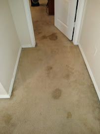 TrueGreen Carpet Care - Photo 5 - Car repair in Lincoln, NE, Lincoln