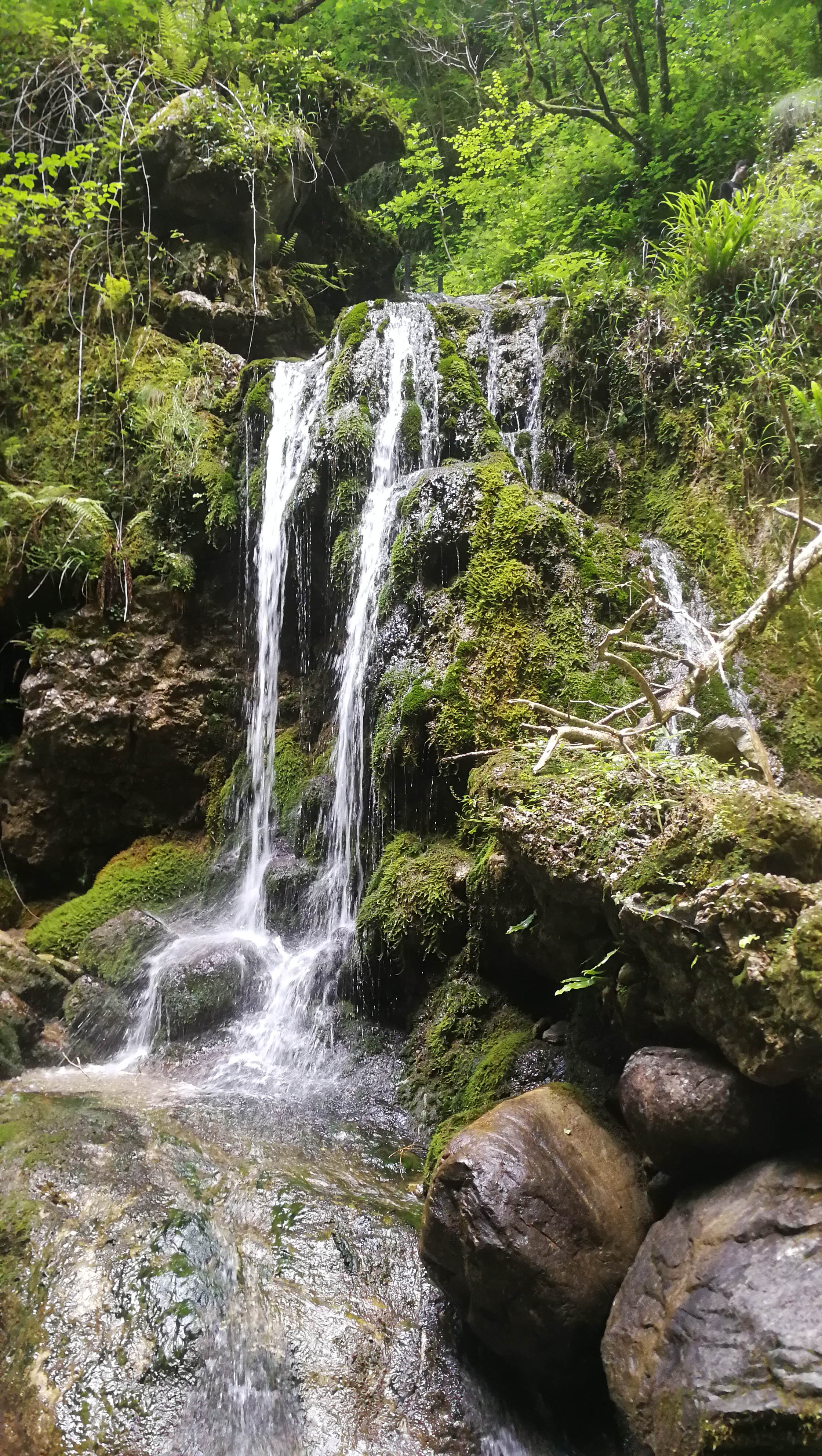 Photo n° 24 de l'avis de Corentin.t fait le 17/07/2019 à 21:16