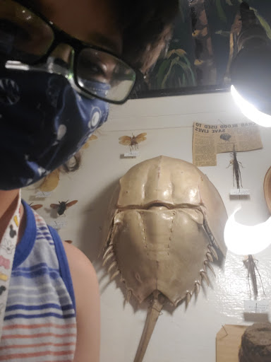 Museum «May Natural History Museum», reviews and photos, 710 Rock Creek Canyon Rd, Colorado Springs, CO 80926, USA