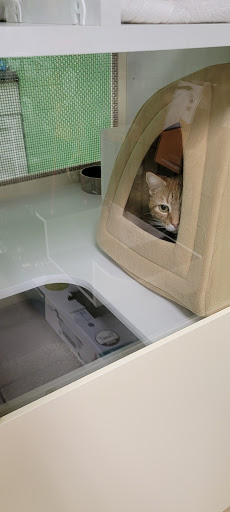 Pet Supply Store «Unleashed the Dog & Cat Store», reviews and photos, 7414 Creedmoor Rd, Raleigh, NC 27613, USA