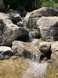 Cooper and Sons Landscaping - Photo 2 - Car repair in , Bremerton