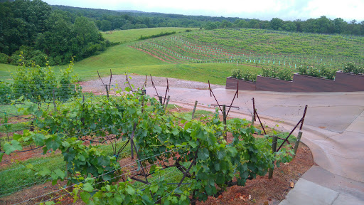 Vineyard «Kaya Vineyard & Winery», reviews and photos, 5400 Town Creek Rd, Dahlonega, GA 30533, USA