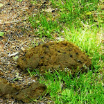 Photo n°1 de l'avis de heffmon. fait le 26/03/2022 à 18:01 sur le  Estetal à Kakenstorf