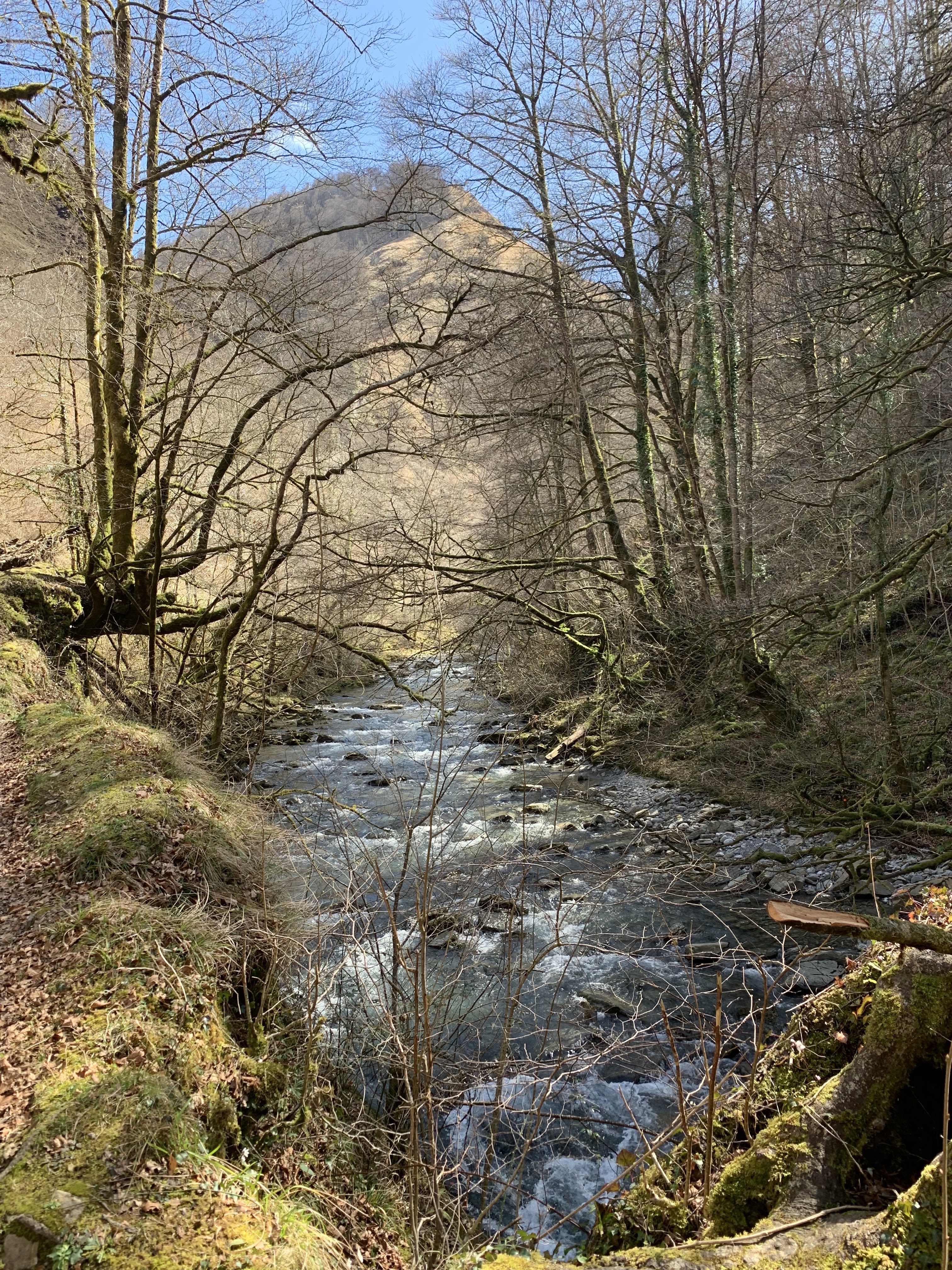 Photo n° 1 de l'avis de Michel.r fait le 15/03/2023 à 19:08