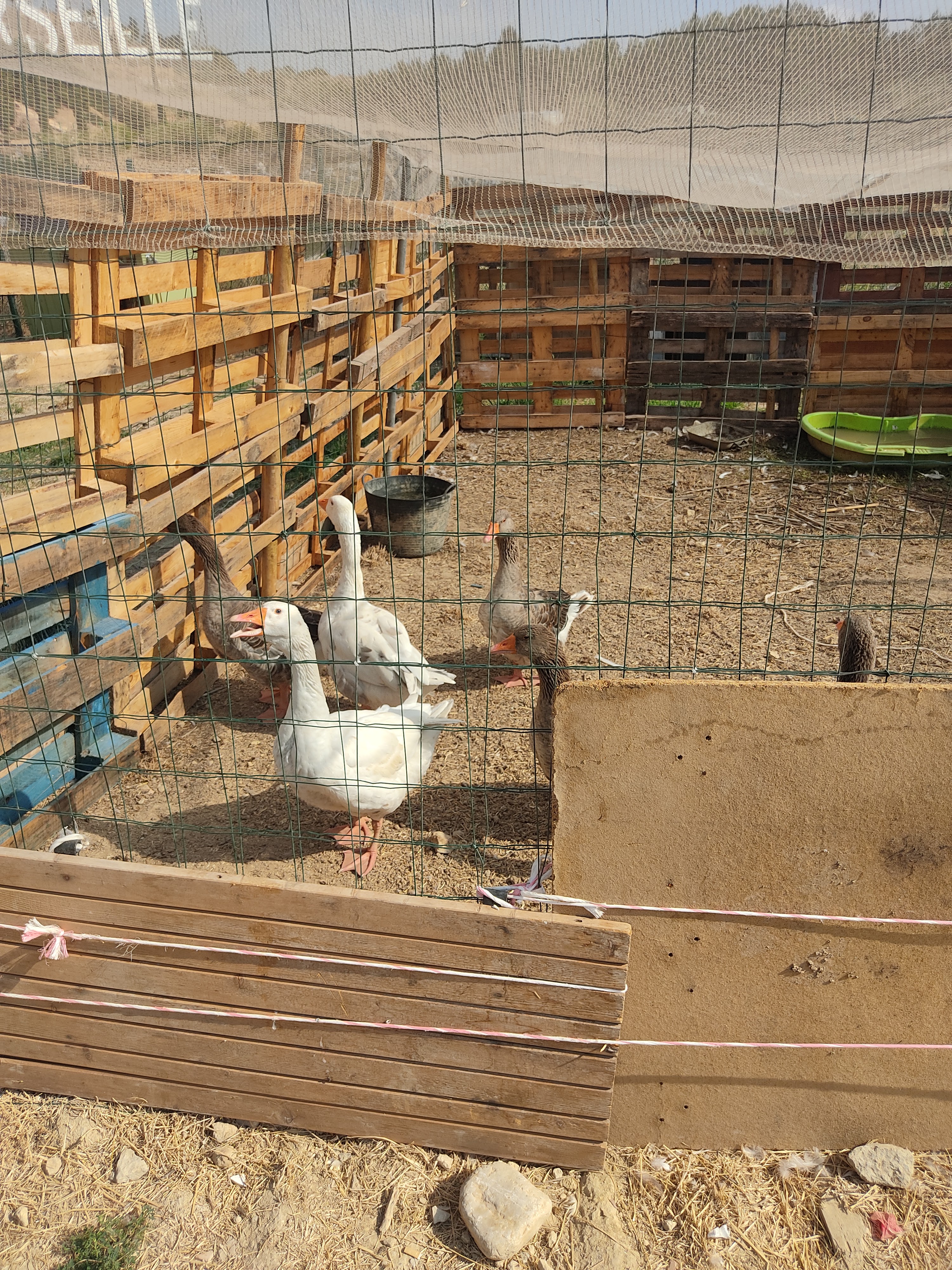 Photo n° 2 de l'avis de S..a fait le 04/08/2022 à 19:54