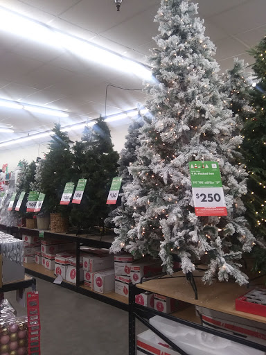 Discount Store «Big Lots», reviews and photos, 7723 Guilbeau Rd #110, San Antonio, TX 78250, USA