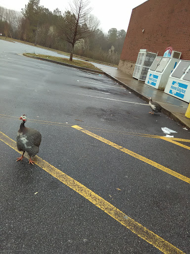 Discount Store «Dollar General», reviews and photos, 3570 Lee Rd SW, Snellville, GA 30039, USA