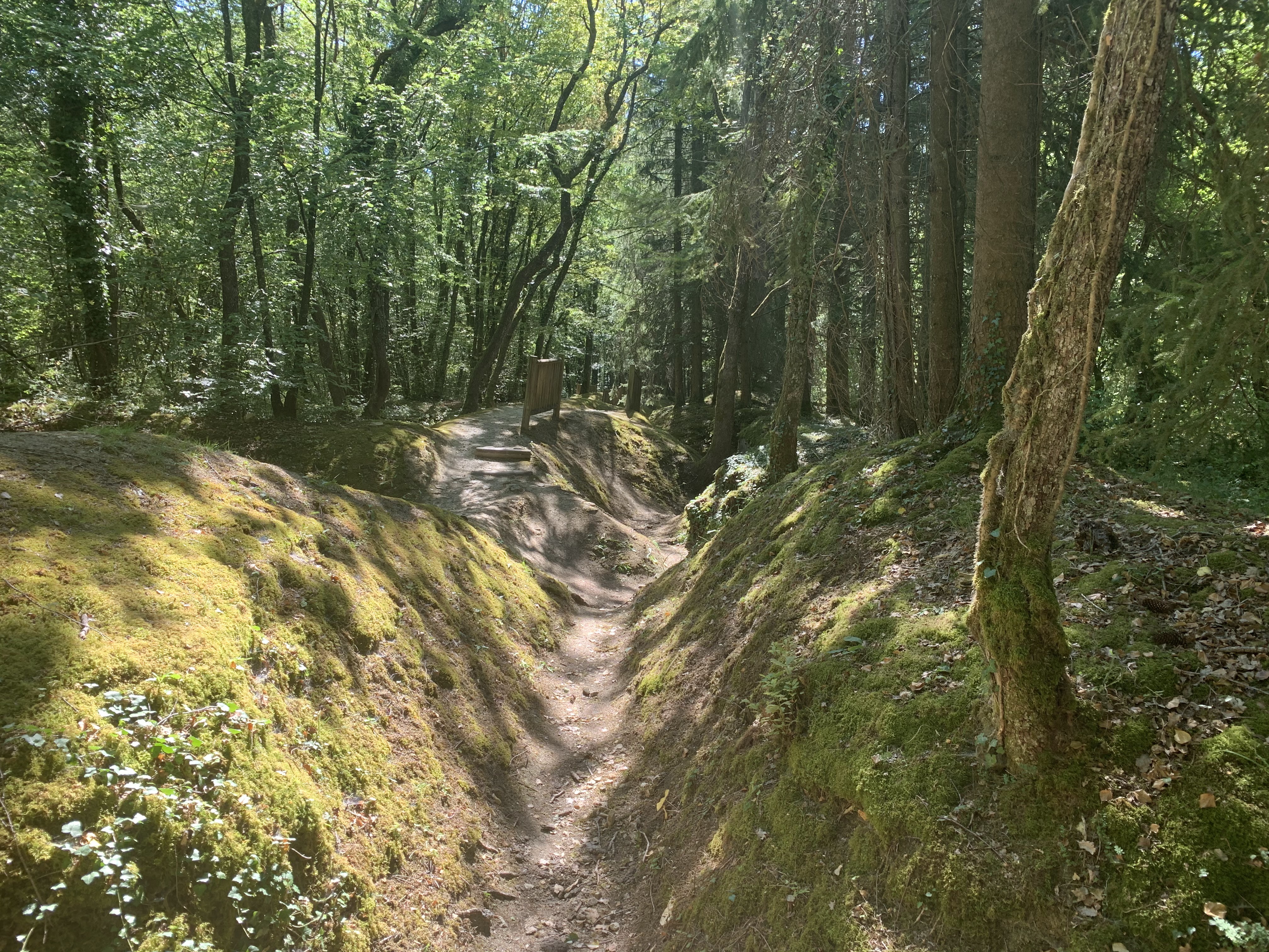 Photo n° 3 de l'avis de Ivo. fait le 18/08/2020 à 21:12