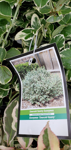 Home Improvement Store «The Home Depot», reviews and photos, 514 E Main St, Westfield, MA 01085, USA