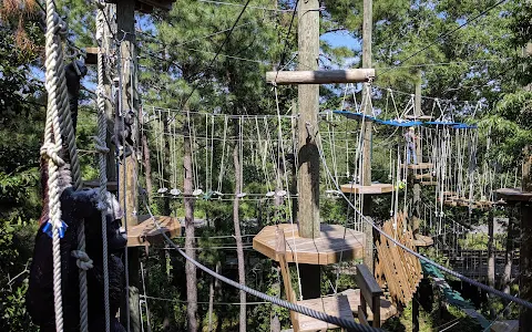 The Swamp Park- Zip Line and ATV Center image