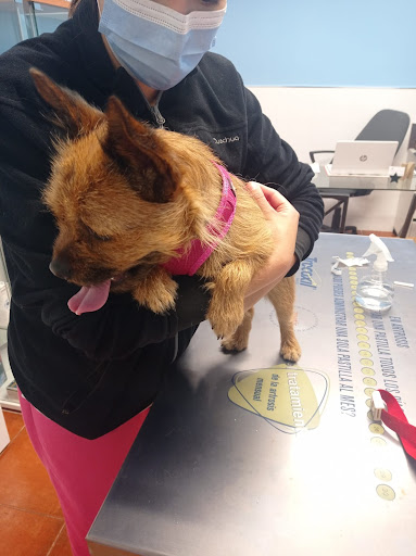 Clínica Veterinaria La Esperanza en La Esperanza