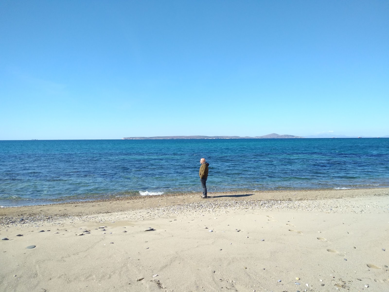 Foto av Dalyan Marina beach med något ren nivå av renlighet