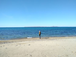 Photo de Dalyan Marina beach avec un niveau de propreté de assez propre