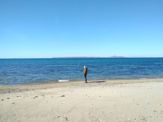 Dalyan Marina beach