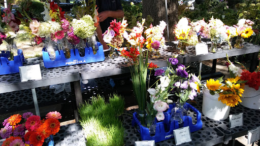 Produce Market «Douglass Loop Farmers Market», reviews and photos, 2005 Douglass Blvd, Louisville, KY 40205, USA