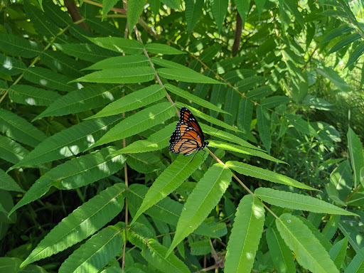 Community Center «Byron Township Community Center», reviews and photos, 2120 76th St SW, Byron Center, MI 49315, USA