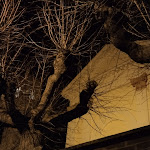 Photo n°6 de l'avis de Monica.i fait le 02/07/2018 à 04:42 sur le  Antico Frantoio à Camaiore