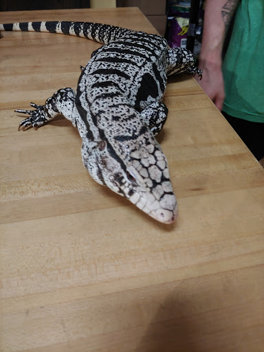 Pet Store «Critter Cabana», reviews and photos, 516 E 1st St, Newberg, OR 97132, USA