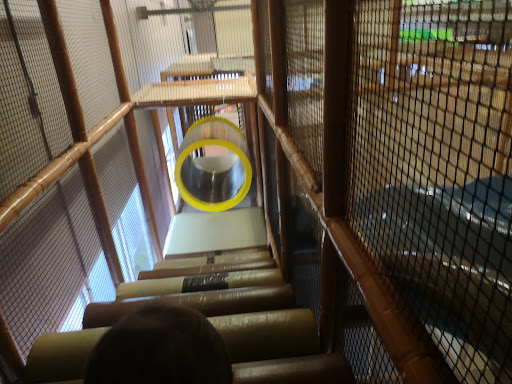 Entertainment and Recreation «Dizzy Castle», reviews and photos, 11606 NE 66th St, Vancouver, WA 98662, USA