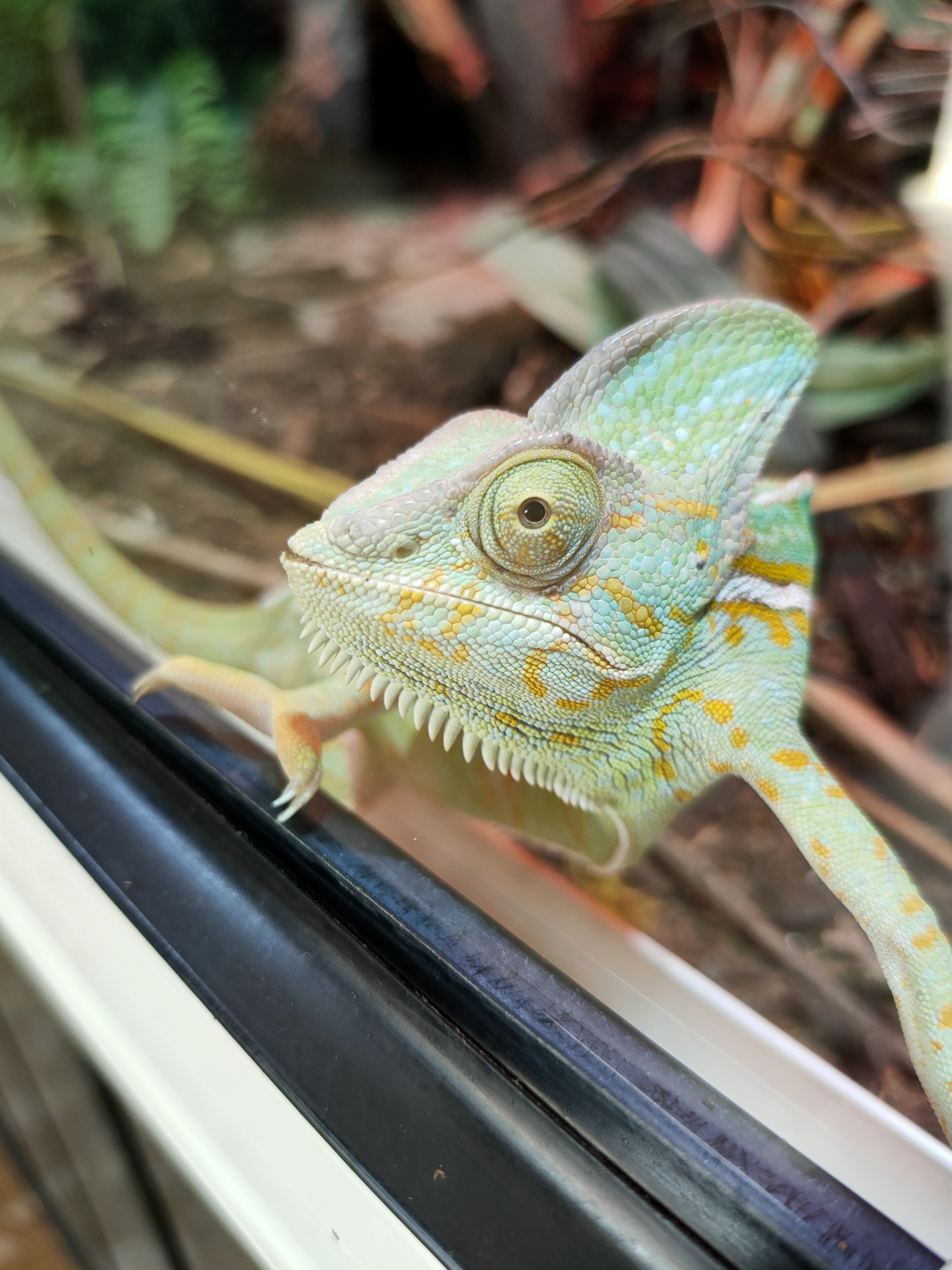 Photo n° 4 de l'avis de geoffroy.e fait le 15/06/2021 à 15:53