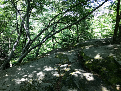 Vista Point «Ledges Overlook», reviews and photos, 405 Truxell Rd, Peninsula, OH 44264, USA