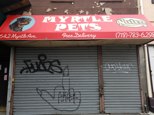 Pet Store «Myrtle Pets», reviews and photos, 642 Myrtle Ave, Brooklyn, NY 11205, USA