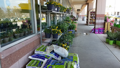 Grocery Store «Whole Foods Market», reviews and photos, 255 Hartford Ave, Bellingham, MA 02019, USA