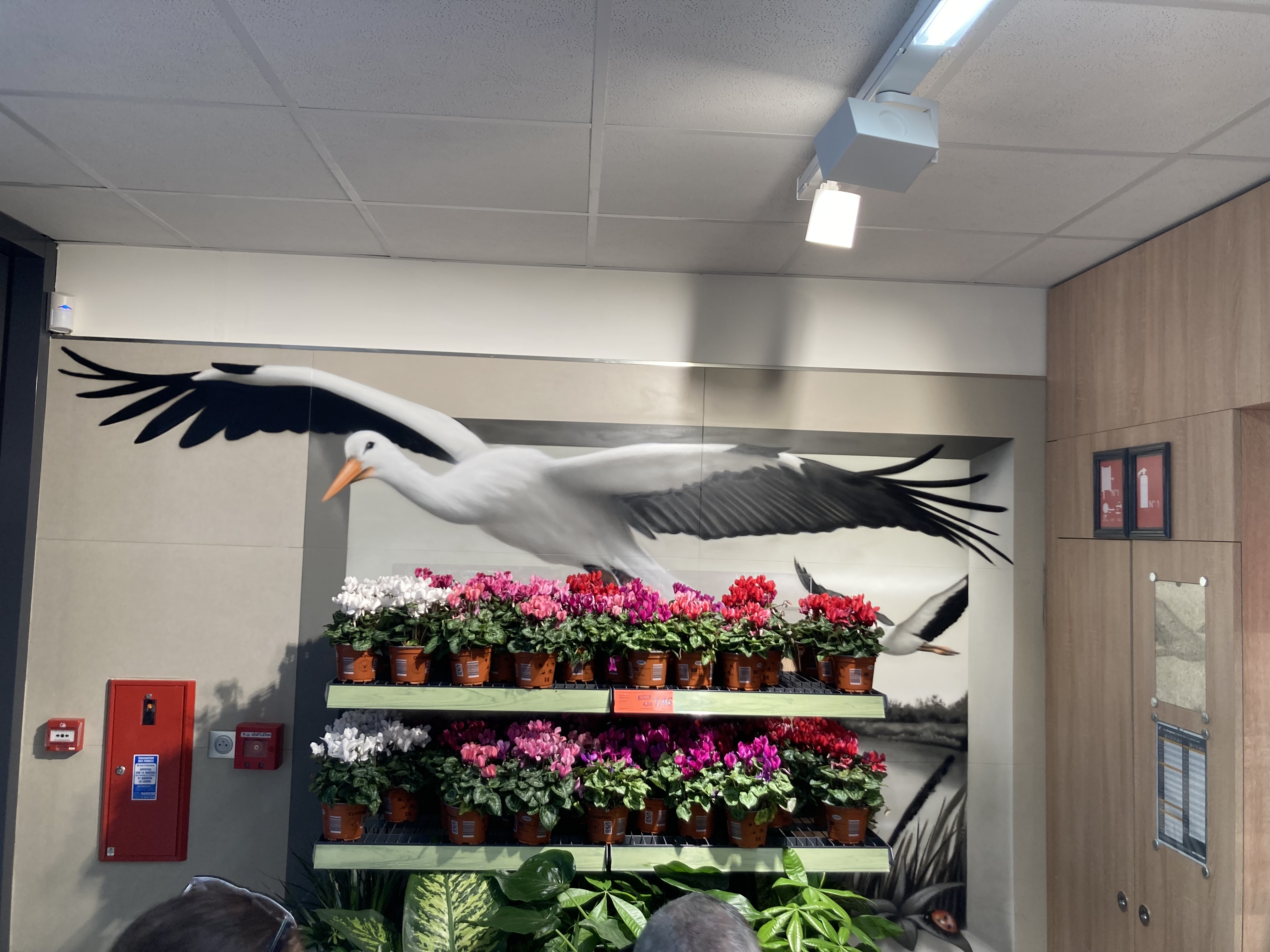 Photo n° 3 de l'avis de France-Line.l fait le 10/02/2020 à 20:20