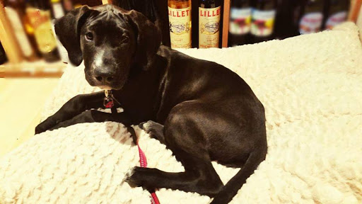 Liquor Store «Sharon Package Store», reviews and photos, 1 Gay St, Sharon, CT 06069, USA