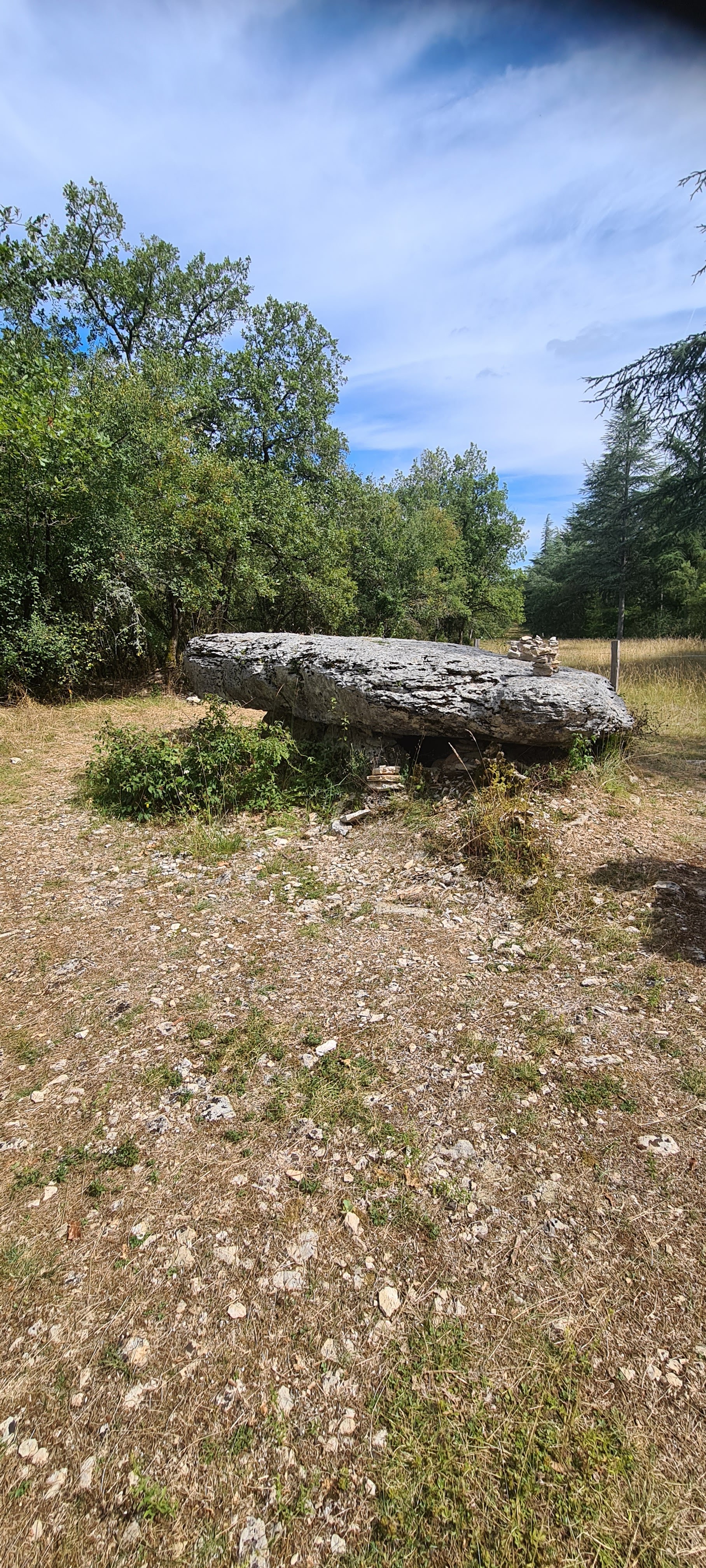 Photo n° 3 de l'avis de Fred.e fait le 07/08/2023 à 15:53