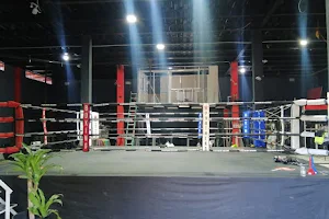 Panther’s Boxing Gym image