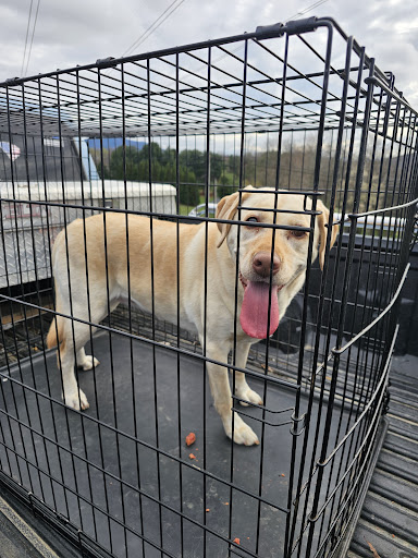 Crest Hills Animal Inn