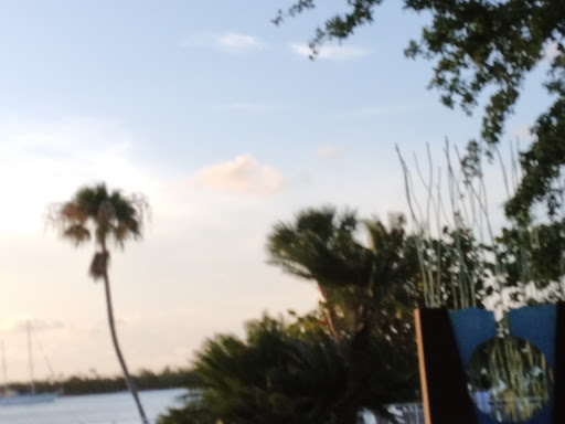 Aquarium «Smithsonian Marine Ecosystems Exhibit», reviews and photos, 420 Seaway Dr, Fort Pierce, FL 34949, USA
