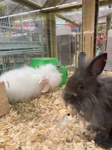 Pet Supply Store «Pet Supermarket», reviews and photos, 3821 S Cobb Dr, Smyrna, GA 30080, USA