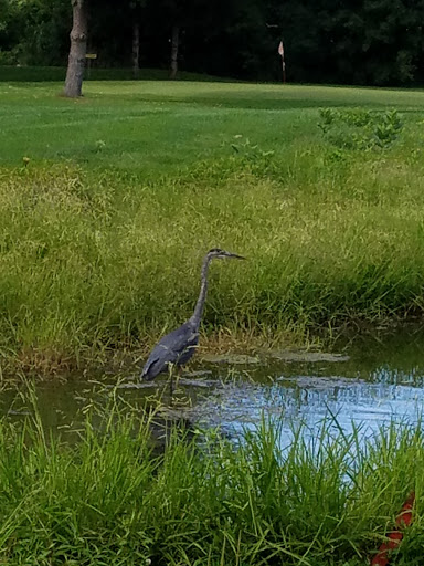 Golf Club «Whispering Pines Golf Course», reviews and photos, 2200 Helderberg Ave, Schenectady, NY 12306, USA