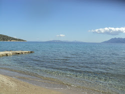 Yialasi beach II'in fotoğrafı çok temiz temizlik seviyesi ile