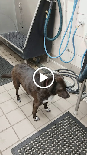 Pet Supply Store «Pet Supplies Plus», reviews and photos, 209 Towne Dr, Elizabethtown, KY 42701, USA