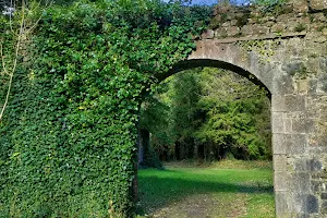 Mountbellew Walled Garden image