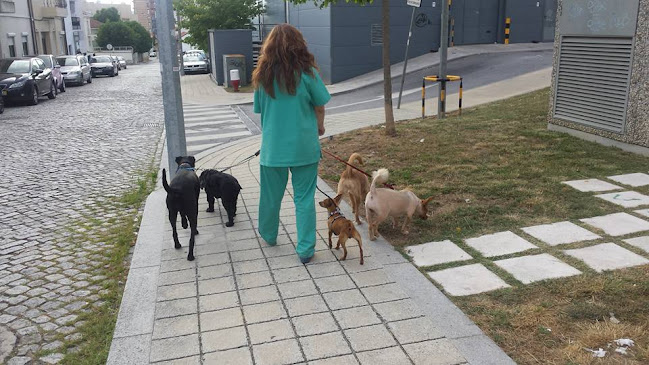 Vetinova - Consultório veterinário - Gondomar