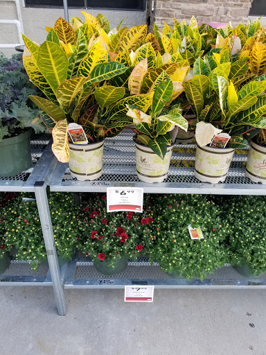 Hardware Store «Westlake Ace Hardware», reviews and photos, 2000 Matlock Rd, Mansfield, TX 76063, USA