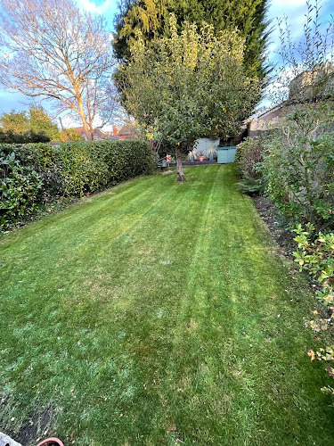 Reviews of Alumhurst Garden Services in Bournemouth - Landscaper