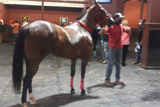 Casino «Delta Downs Racetrack Casino Hotel», reviews and photos, 2717 Delta Downs Dr, Vinton, LA 70668, USA