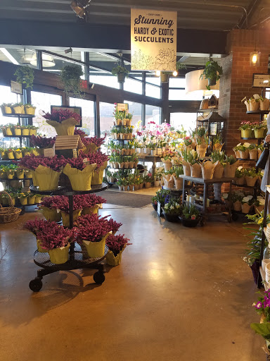 Grocery Store «Westborn Market», reviews and photos, 21770 Michigan Ave, Dearborn, MI 48124, USA