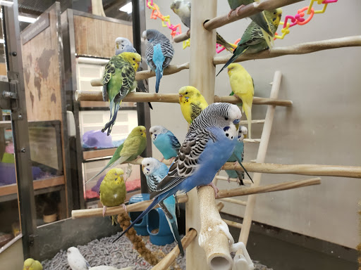 Pet Supply Store «Petco Animal Supplies», reviews and photos, 190 Quality Dr, Hooksett, NH 03106, USA